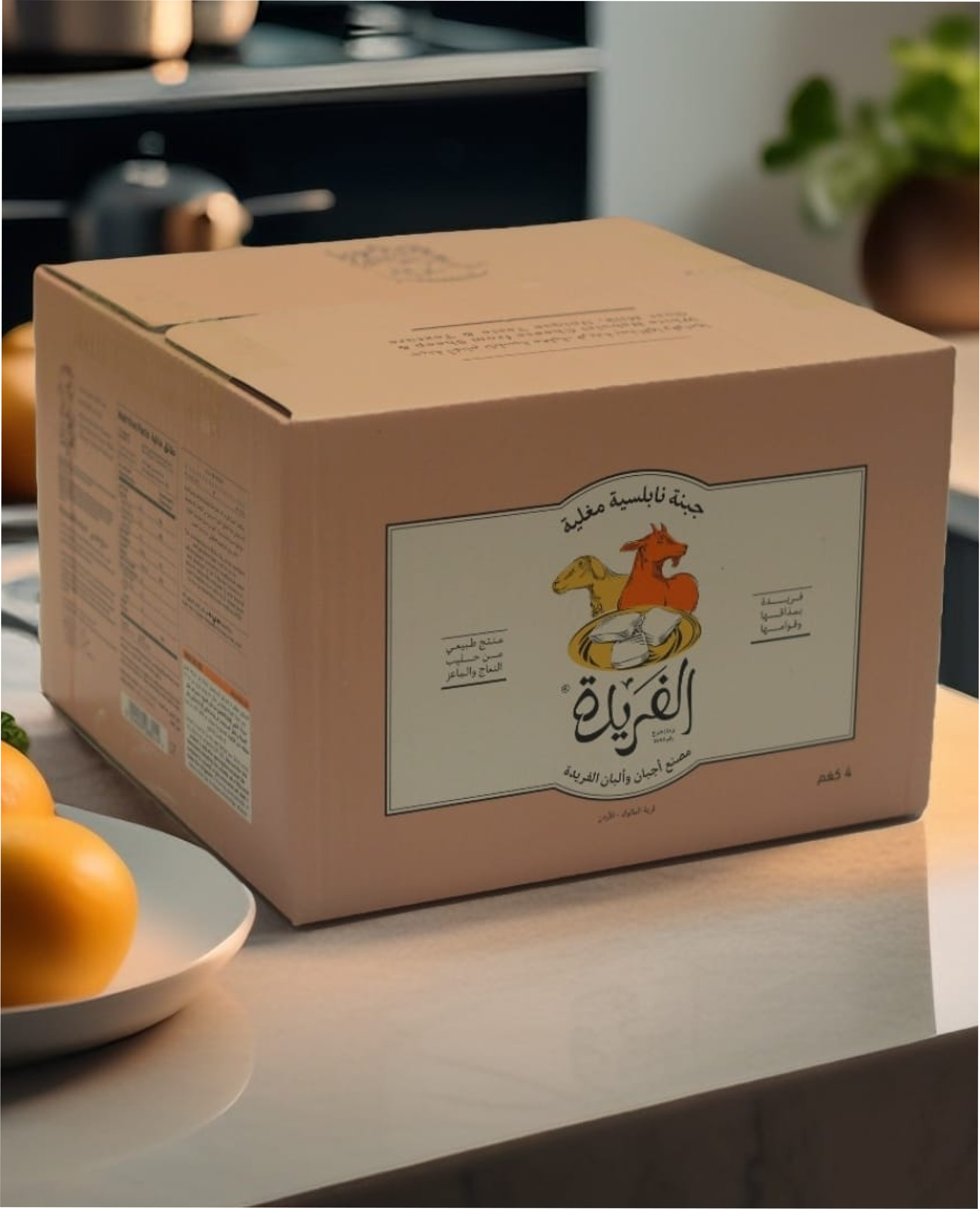 bg-removed_1__1_-removebg-preview 2 (3)